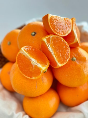 🍊 제주 햇살을 담은 정희네 농원 노지귤