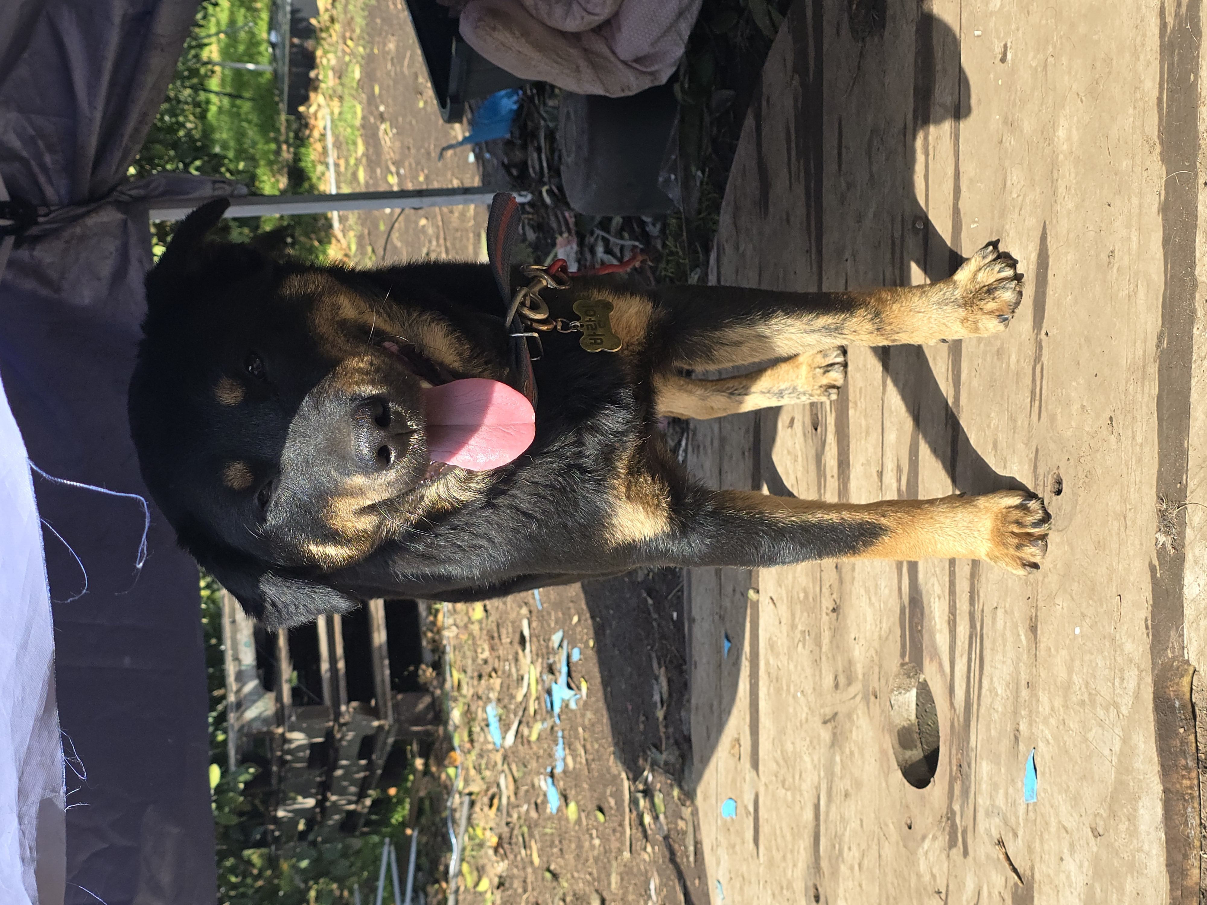 🎬 「바람이, 다시 걷기 시작한 아이」