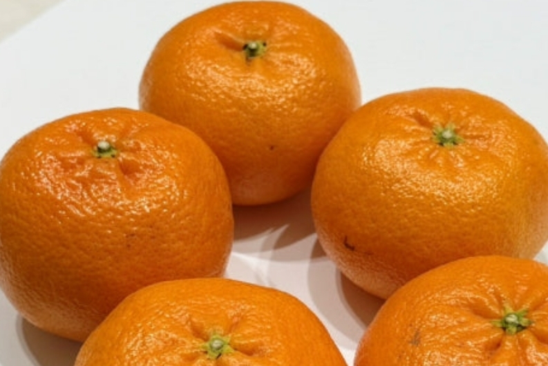 천혜향 상세이미지 2