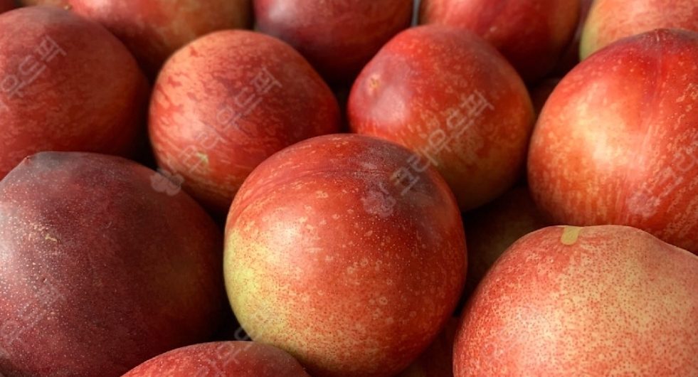 신비복숭아 상세이미지 2